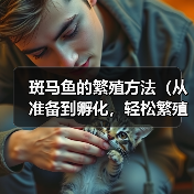 斑马鱼的繁殖方法（从准备到孵化，轻松繁殖斑马鱼）（图4）