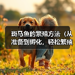 斑马鱼的繁殖方法（从准备到孵化，轻松繁殖斑马鱼）（图3）