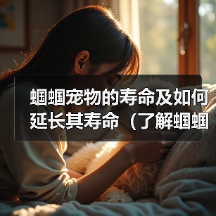 蝈蝈宠物的寿命及如何延长其寿命（了解蝈蝈宠物的寿命、提供适宜的环境和饮食来延长其寿命）（图1）