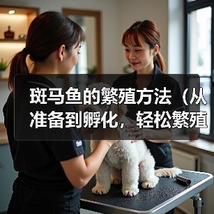 斑马鱼的繁殖方法（从准备到孵化，轻松繁殖斑马鱼）（图1）