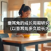 垂耳兔的成长周期研究（以垂耳兔多久能长大为主题的生物学调查）（图4）