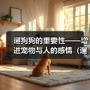 遛狗狗的重要性——增进宠物与人的感情（遛狗狗）（图3）
