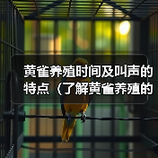 黄雀养殖时间及叫声的特点（了解黄雀养殖的时间要求和独特的叫声）（图4）