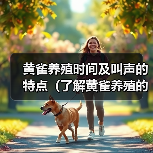 黄雀养殖时间及叫声的特点（了解黄雀养殖的时间要求和独特的叫声）（图1）