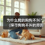 为什么我的狗狗不叫？（探寻狗狗不叫的原因及解决方法）（图4）