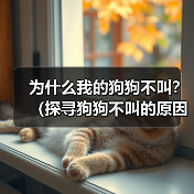 为什么我的狗狗不叫？（探寻狗狗不叫的原因及解决方法）（图1）