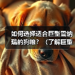 如何选择适合巨型雪纳瑞的狗粮？（了解巨型雪纳瑞的饮食需求，给你的宠物最佳的营养保障）（图3）