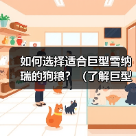 如何选择适合巨型雪纳瑞的狗粮？（了解巨型雪纳瑞的饮食需求，给你的宠物最佳的营养保障）（图4）