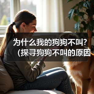 为什么我的狗狗不叫？（探寻狗狗不叫的原因及解决方法）（图3）