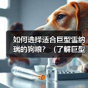 如何选择适合巨型雪纳瑞的狗粮？（了解巨型雪纳瑞的饮食需求，给你的宠物最佳的营养保障）（图2）