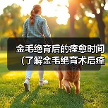 金毛绝育后的痊愈时间（了解金毛绝育术后痊愈所需时间的重要性）（图4）