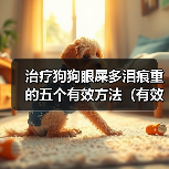 治疗狗狗眼屎多泪痕重的五个有效方法（有效无副作用的方法帮助治疗狗狗眼屎多泪痕重）（图2）
