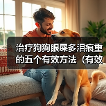 治疗狗狗眼屎多泪痕重的五个有效方法（有效无副作用的方法帮助治疗狗狗眼屎多泪痕重）（图1）