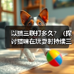 以猫三联打多久？（探讨猫咪在玩耍时持续三连击的时间）（图3）