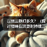 以猫三联打多久？（探讨猫咪在玩耍时持续三连击的时间）（图2）