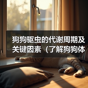 狗狗驱虫的代谢周期及关键因素（了解狗狗体内驱虫代谢的重要性及影响因素）（图4）