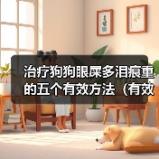 治疗狗狗眼屎多泪痕重的五个有效方法（有效无副作用的方法帮助治疗狗狗眼屎多泪痕重）（图3）
