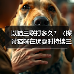 以猫三联打多久？（探讨猫咪在玩耍时持续三连击的时间）（图1）