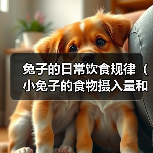 兔子的日常饮食规律（小兔子的食物摄入量和膳食习惯）（图3）