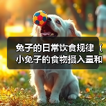 兔子的日常饮食规律（小兔子的食物摄入量和膳食习惯）（图1）