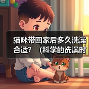 猫咪带回家后多久洗澡合适？（科学的洗澡时间和方法是保证猫咪健康的关键）（图4）