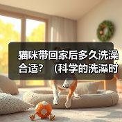 猫咪带回家后多久洗澡合适？（科学的洗澡时间和方法是保证猫咪健康的关键）（图2）