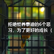 拒绝惯养泰迪的6个恶习，为了更好的成长（避免这些“恶习”，培养出优秀的泰迪宠物）（图4）