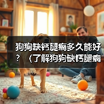 狗狗缺钙腿瘸多久能好？（了解狗狗缺钙腿瘸的原因和康复方法）（图3）
