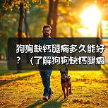 狗狗缺钙腿瘸多久能好？（了解狗狗缺钙腿瘸的原因和康复方法）（图1）