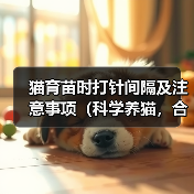 猫育苗时打针间隔及注意事项（科学养猫，合理打针——给爱猫注射疫苗的正确方法与注意事项）（图4）
