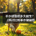 羊水破裂后多久能生？（探讨比熊羊水破裂后的分娩时间）（图4）