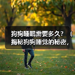 狗狗睡眠需要多久？（揭秘狗狗睡觉的秘密，让你的宠物健康快乐）（图1）