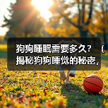狗狗睡眠需要多久？（揭秘狗狗睡觉的秘密，让你的宠物健康快乐）（图4）