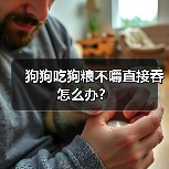 狗狗吃狗粮不嚼直接吞怎么办？（图3）