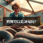 狗狗可以吃冰棍吗？（图4）