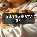 猫咪在什么情况下会冷死？（图4）