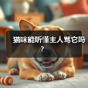 猫咪能听懂主人骂它吗？