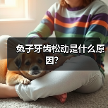 兔子牙齿松动是什么原因？（图2）