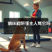 猫咪能听懂主人骂它吗？（图3）