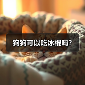 狗狗可以吃冰棍吗？（图1）