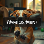 狗狗可以吃冰棍吗？（图3）