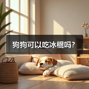 狗狗可以吃冰棍吗？