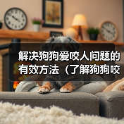 解决狗狗爱咬人问题的有效方法（了解狗狗咬人的原因及相应解决方案）（图1）