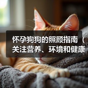 怀孕狗狗的照顾指南（关注营养、环境和健康）（图4）