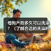 母狗产后多久可以洗澡？（了解合适的洗澡时间，保护母狗与幼犬的健康）（图1）