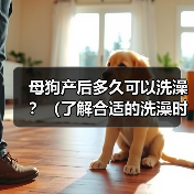 母狗产后多久可以洗澡？（了解合适的洗澡时间，保护母狗与幼犬的健康）（图2）