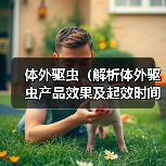 体外驱虫（解析体外驱虫产品效果及起效时间）（图3）