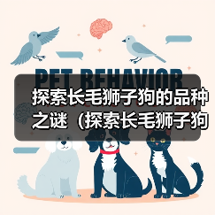 探索长毛狮子狗的品种之谜（探索长毛狮子狗的多样性与特征）（图1）