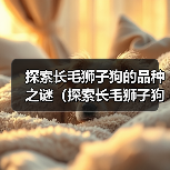 探索长毛狮子狗的品种之谜（探索长毛狮子狗的多样性与特征）（图4）