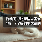 狗狗可以吃哪些人类食物？（了解狗狗饮食的安全与合理性）（图3）